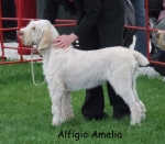Filename=A-Amelia.jpg
Filesize=52KiB
Dimensions=600x526
Date added=Sep 16, 2009 A-Amelia.jpg