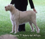 Filename=C-TiAdora.jpg
Filesize=53KiB
Dimensions=600x513
Date added=Sep 16, 2009 C-TiAdora.jpg