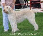 Filename=G-MagicGaietyGirl.jpg
Filesize=60KiB
Dimensions=600x497
Date added=Sep 16, 2009 G-MagicGaietyGirl.jpg