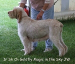 Filename=G-MagicInTheSky.jpg
Filesize=60KiB
Dimensions=600x512
Date added=Sep 16, 2009 G-MagicInTheSky.jpg
