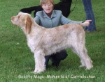 Filename=G-MagicMoments.jpg
Filesize=59KiB
Dimensions=600x473
Date added=Sep 16, 2009 G-MagicMoments.jpg