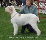 Filename=H-Affinity.jpg
Filesize=54KiB
Dimensions=600x524
Date added=Sep 16, 2009 H-Affinity.jpg
