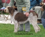 Filename=H-CaffeLatte.jpg
Filesize=59KiB
Dimensions=600x489
Date added=Sep 16, 2009 H-CaffeLatte.jpg