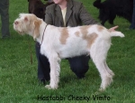 Filename=H-CheekyVimto.jpg
Filesize=58KiB
Dimensions=600x458
Date added=Sep 16, 2009 H-CheekyVimto.jpg