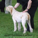 Filename=H-CrazyDiamond.jpg
Filesize=75KiB
Dimensions=600x600
Date added=Sep 16, 2009 H-CrazyDiamond.jpg