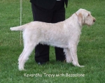 Filename=K-Trevy.jpg
Filesize=60KiB
Dimensions=600x476
Date added=Sep 16, 2009 K-Trevy.jpg