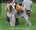Filename=L-Callisto.jpg
Filesize=69KiB
Dimensions=600x504
Date added=Sep 16, 2009 L-Callisto.jpg