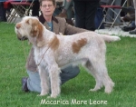 Filename=M-MareLeone.jpg
Filesize=54KiB
Dimensions=600x472
Date added=Sep 16, 2009 M-MareLeone.jpg