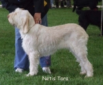 Filename=N-Tara.jpg
Filesize=58KiB
Dimensions=600x497
Date added=Sep 16, 2009 N-Tara.jpg