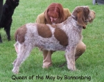 Filename=Queen-OfTheMay.jpg
Filesize=69KiB
Dimensions=600x474
Date added=Sep 16, 2009 Queen-OfTheMay.jpg