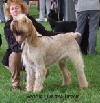 Filename=R-LiveTheDream.jpg
Filesize=78KiB
Dimensions=600x616
Date added=Sep 16, 2009 R-LiveTheDream.jpg