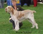 Filename=R-Schillaci.jpg
Filesize=56KiB
Dimensions=600x468
Date added=Sep 16, 2009 R-Schillaci.jpg