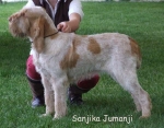 Filename=S-Jumanji.jpg
Filesize=59KiB
Dimensions=600x468
Date added=Sep 16, 2009 S-Jumanji.jpg