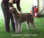 Filename=T-JigsawPuzzle.jpg
Filesize=71KiB
Dimensions=600x527
Date added=Sep 16, 2009 T-JigsawPuzzle.jpg