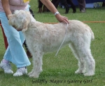Dateiname=G-MagicGaietyGirl.jpg
Dateigröße=63KB
Abmessungen: 600x490
hinzugefügt am: 16. September 2009 G-MagicGaietyGirl.jpg