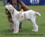 Nom du fichier=R-Merlino.jpg
Taille du fichier=67Ko
Dimensions : 600x498
Ajouté le : 16 Septembre 2009 R-Merlino.jpg