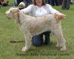 Filename=W-RubyTuesday.jpg
Filesize=76KiB
Dimensions=600x478
Date added=Sep 16, 2009 W-RubyTuesday.jpg