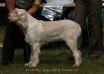 Filename=K-Trevy.jpg
Filesize=49KiB
Dimensions=700x500
Date added=Sep 16, 2009 K-Trevy.jpg