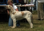 Filename=M-FirstGlance.jpg
Filesize=45KiB
Dimensions=700x500
Date added=Sep 16, 2009 M-FirstGlance.jpg