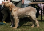 Filename=M-LatinSpirit.jpg
Filesize=61KiB
Dimensions=700x500
Date added=Sep 16, 2009 M-LatinSpirit.jpg