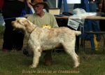 Filename=O-Jackaroo.jpg
Filesize=53KiB
Dimensions=700x500
Date added=Sep 16, 2009 O-Jackaroo.jpg