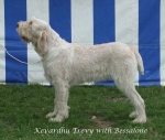 Filename=K-Trevy.jpg
Filesize=60KiB
Dimensions=600x508
Date added=Sep 16, 2009 K-Trevy.jpg