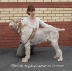 Filename=O-MightyCaesar.jpg
Filesize=65KiB
Dimensions=600x591
Date added=Sep 16, 2009 O-MightyCaesar.jpg