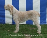 Filename=W-RubyTuesday.jpg
Filesize=58KiB
Dimensions=600x492
Date added=Sep 16, 2009 W-RubyTuesday.jpg