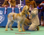 Filename=B-BornToLove.jpg
Filesize=51KiB
Dimensions=650x520
Date added=Sep 16, 2009 B-BornToLove.jpg