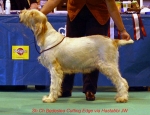 Filename=B-CuttingEdge.jpg
Filesize=45KiB
Dimensions=650x500
Date added=Sep 16, 2009 B-CuttingEdge.jpg