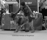 Filename=C-Arrivisto.jpg
Filesize=55KiB
Dimensions=650x556
Date added=Sep 16, 2009 C-Arrivisto.jpg