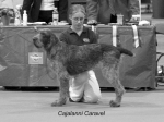 Filename=C-Caravel.jpg
Filesize=42KiB
Dimensions=550x414
Date added=Sep 16, 2009 C-Caravel.jpg