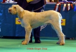 Filename=C-GingerSnap.jpg
Filesize=42KiB
Dimensions=650x450
Date added=Sep 16, 2009 C-GingerSnap.jpg