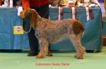Filename=C-SassySalsa.jpg
Filesize=55KiB
Dimensions=650x426
Date added=Sep 16, 2009 C-SassySalsa.jpg