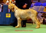 Filename=D-FlorenceAmber.jpg
Filesize=46KiB
Dimensions=650x469
Date added=Sep 16, 2009 D-FlorenceAmber.jpg