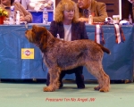 Filename=F-IMNoAngel.jpg
Filesize=54KiB
Dimensions=650x522
Date added=Sep 16, 2009 F-IMNoAngel.jpg