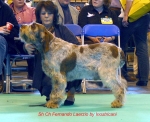 Filename=Fernando-Laerzio.jpg
Filesize=61KiB
Dimensions=650x530
Date added=Sep 16, 2009 Fernando-Laerzio.jpg