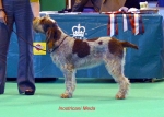 Filename=I-Meda.jpg
Filesize=42KiB
Dimensions=650x467
Date added=Sep 16, 2009 I-Meda.jpg