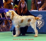 Filename=J-AllThatJazz.jpg
Filesize=65KiB
Dimensions=650x585
Date added=Sep 16, 2009 J-AllThatJazz.jpg