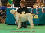 Filename=J-SweetLittleMystery.jpg
Filesize=58KiB
Dimensions=550x400
Date added=Sep 16, 2009 J-SweetLittleMystery.jpg