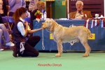 Filename=K-Denys.jpg
Filesize=51KiB
Dimensions=650x436
Date added=Sep 16, 2009 K-Denys.jpg