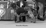 Filename=K-Whystra.jpg
Filesize=44KiB
Dimensions=650x399
Date added=Sep 16, 2009 K-Whystra.jpg