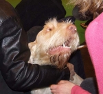Filename=Layla.JPG
Filesize=65KiB
Dimensions=600x554
Date added=Sep 16, 2009 Layla.JPG
