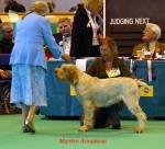 Filename=M-Annaliese.jpg
Filesize=59KiB
Dimensions=550x501
Date added=Sep 16, 2009 M-Annaliese.jpg