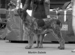 Filename=M-Babele.jpg
Filesize=41KiB
Dimensions=550x409
Date added=Sep 16, 2009 M-Babele.jpg