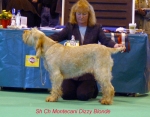 Filename=M-DizzyBlonde.jpg
Filesize=60KiB
Dimensions=550x431
Date added=Sep 16, 2009 M-DizzyBlonde.jpg
