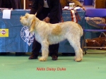 Dateiname=N-DaisyDuke.jpg
Dateigröße=45KB
Abmessungen: 550x412
hinzugefügt am: 16. September 2009 N-DaisyDuke.jpg