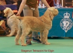 Filename=S-Tetrazzini.jpg
Filesize=58KiB
Dimensions=550x400
Date added=Sep 16, 2009 S-Tetrazzini.jpg