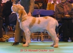 Filename=W-CrackerJack.jpg
Filesize=44KiB
Dimensions=550x396
Date added=Sep 16, 2009 W-CrackerJack.jpg