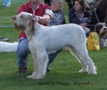 Filename=G-MagicWizard.jpg
Filesize=66KiB
Dimensions=600x510
Date added=Sep 16, 2009 G-MagicWizard.jpg